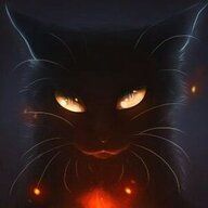 Кот