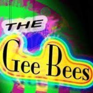 GeeBees