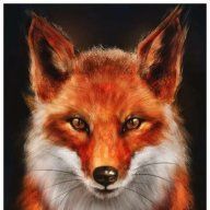 Foxy