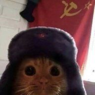 kit