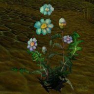 blindweed