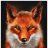 Foxy